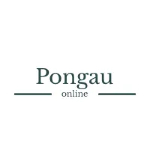 Informationsplattform Pongau online Informationsplattform Pongau online