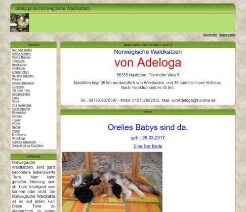 adeloga.de Norwegische Waldkatzen › Norwegische Nastätten