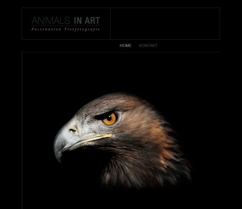 ANIMALS IN ART Faszination Tierfotografie | Tierportraits  öffnungszeit