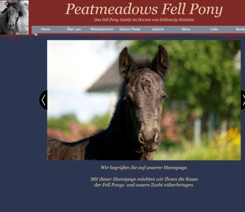 Peat Meadows Fell Ponys  öffnungszeit