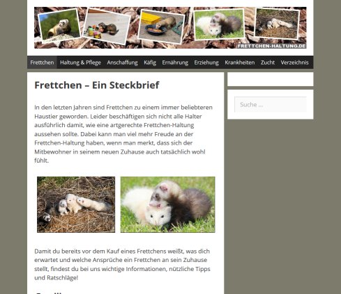 Frettchen Ein Steckbrief Erfahrung Frettchen Ein Steckbrief Öffnungszeit