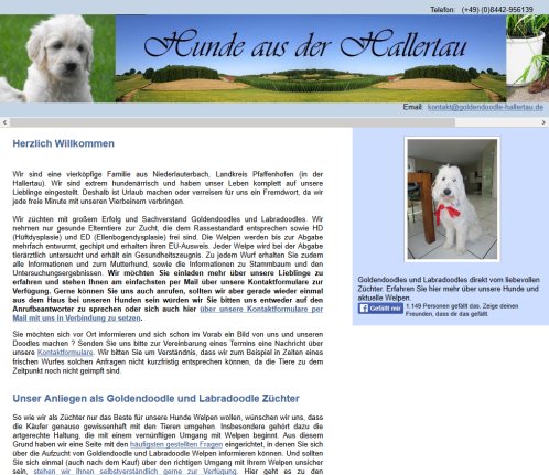 Goldendoodle und Labradoodle Welpen aus der Hallertau   Anton Forsthofer  öffnungszeit