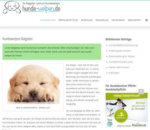 Hunde Welpen.de   Der Hundewelpen Ratgeber zeitraum medienagentur gmbh öffnungszeit