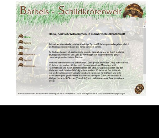 Bärbels Schildkrötenwelt www.landschildi.de schildkröten schoenebeck conradi bärbel landschildkröten  öffnungszeit
