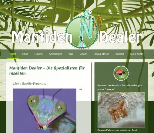 Mantidendealer   Onlineshop Insekten  Mantiden | Mantis  öffnungszeit
