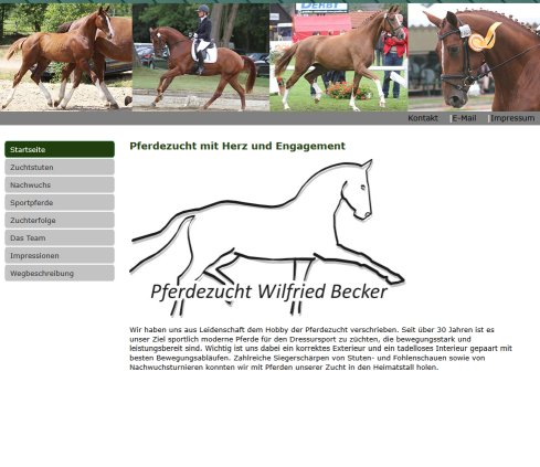 Pferdezucht Wilfried Becker Pferdezucht Sprockhövel