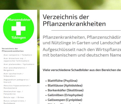 Pflanzendoktor Tübingen öffnungszeit