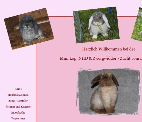 Zwergwidder Hobby Züchter Erfahrung Zwergwidder Hobby Züchter Öffnungszeit
