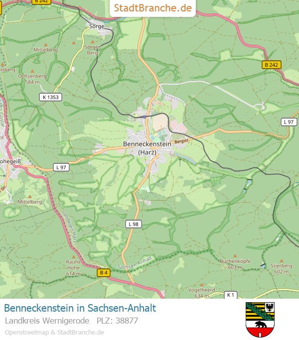 Maine Coon Vom Hauptmannsberg Maine Benneckenstein